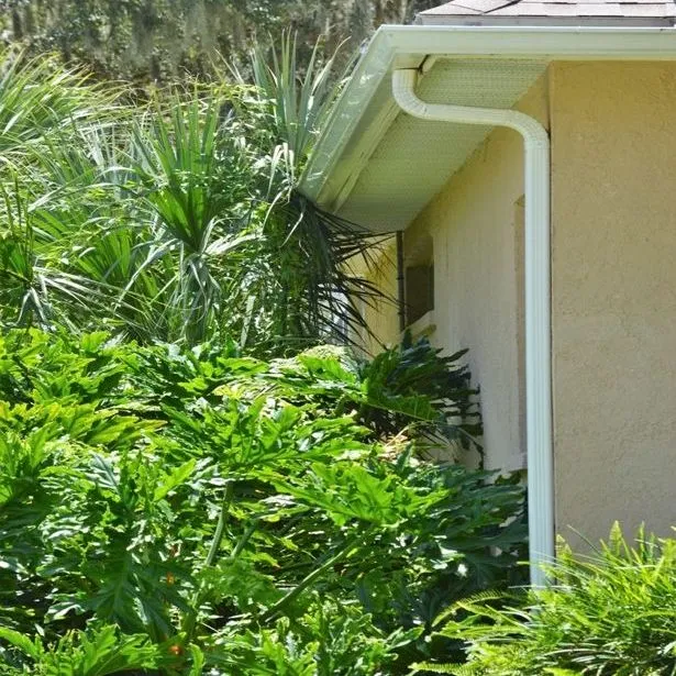 thumbnail for publication: Landscaping Methods to Prevent Pests from Entering Your Home